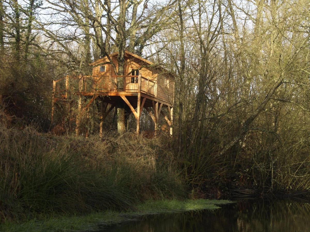 Le Bois Davy Hotel Le Thoureil Buitenkant foto