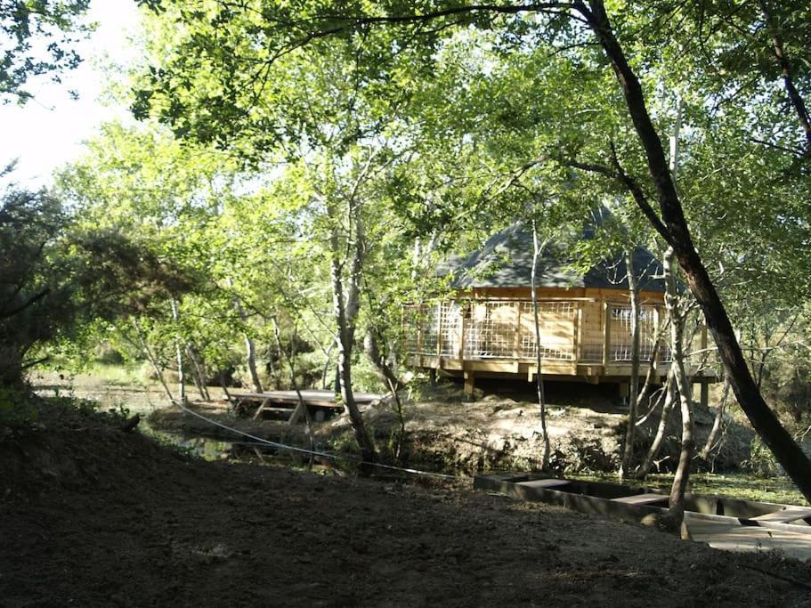 Le Bois Davy Hotel Le Thoureil Buitenkant foto