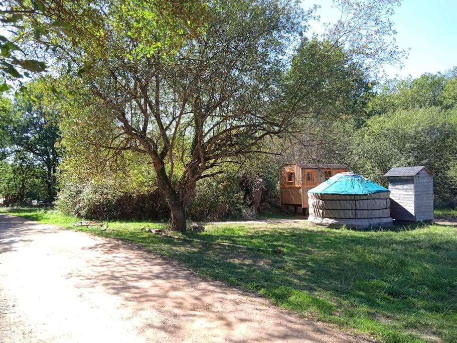 Le Bois Davy Hotel Le Thoureil Buitenkant foto