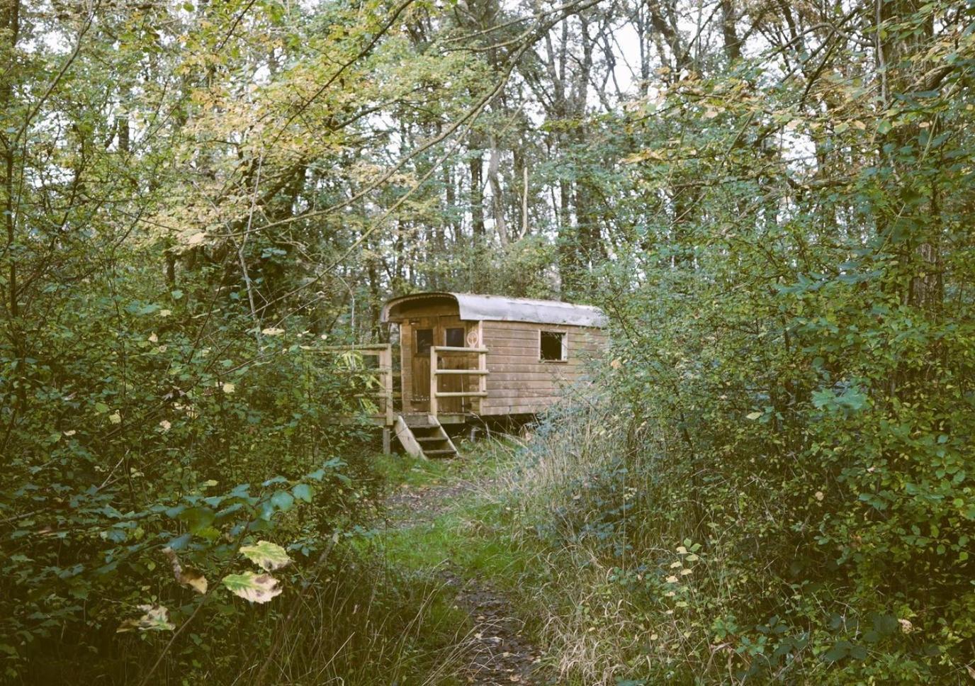 Le Bois Davy Hotel Le Thoureil Buitenkant foto